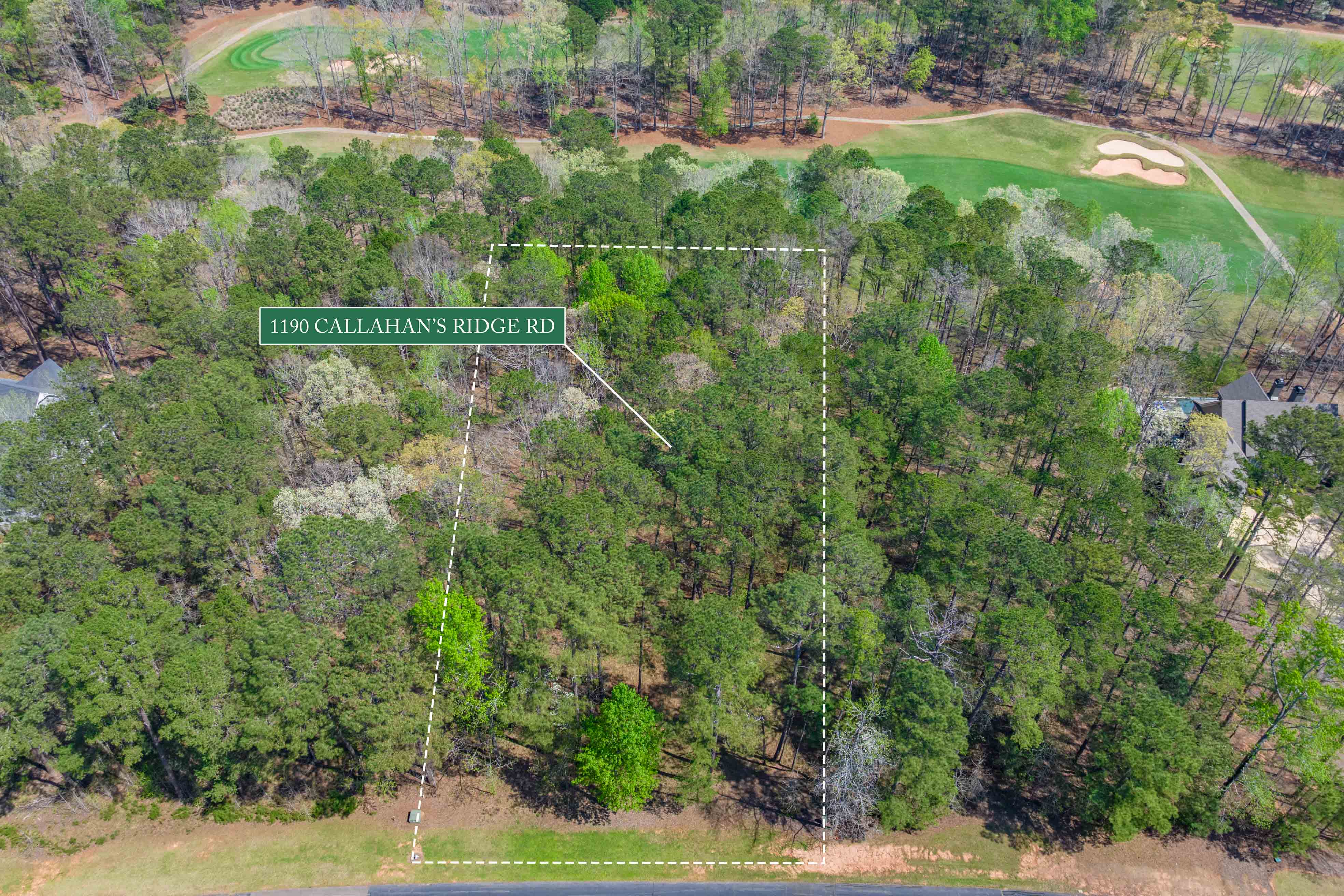 1190 Callahan's Ridge Road image 18